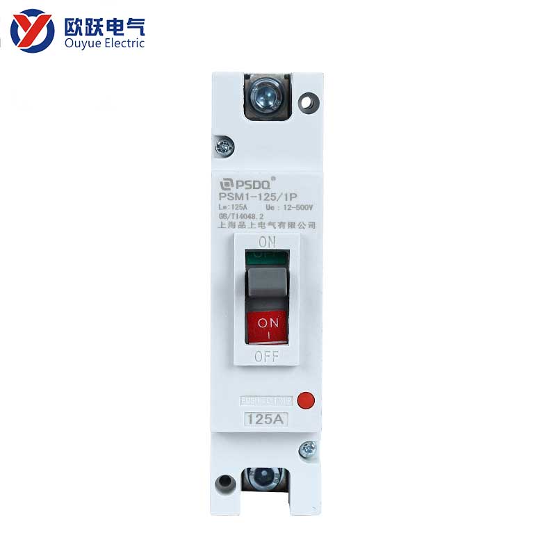 Mould Case Circuit Breaker 125A 1P